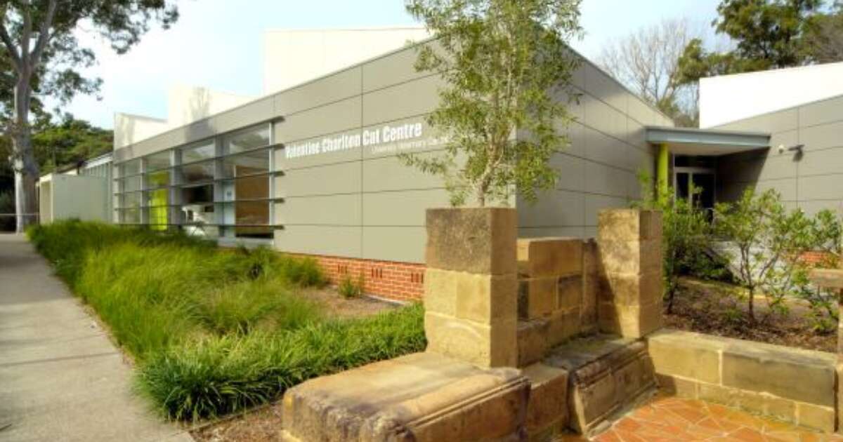 University of Sydney Small Animal Veterinary Hospital Kane Constructions